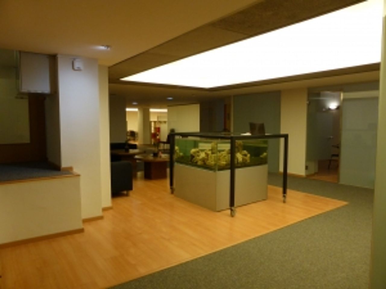 Barcelona training rooms Kino  image 5