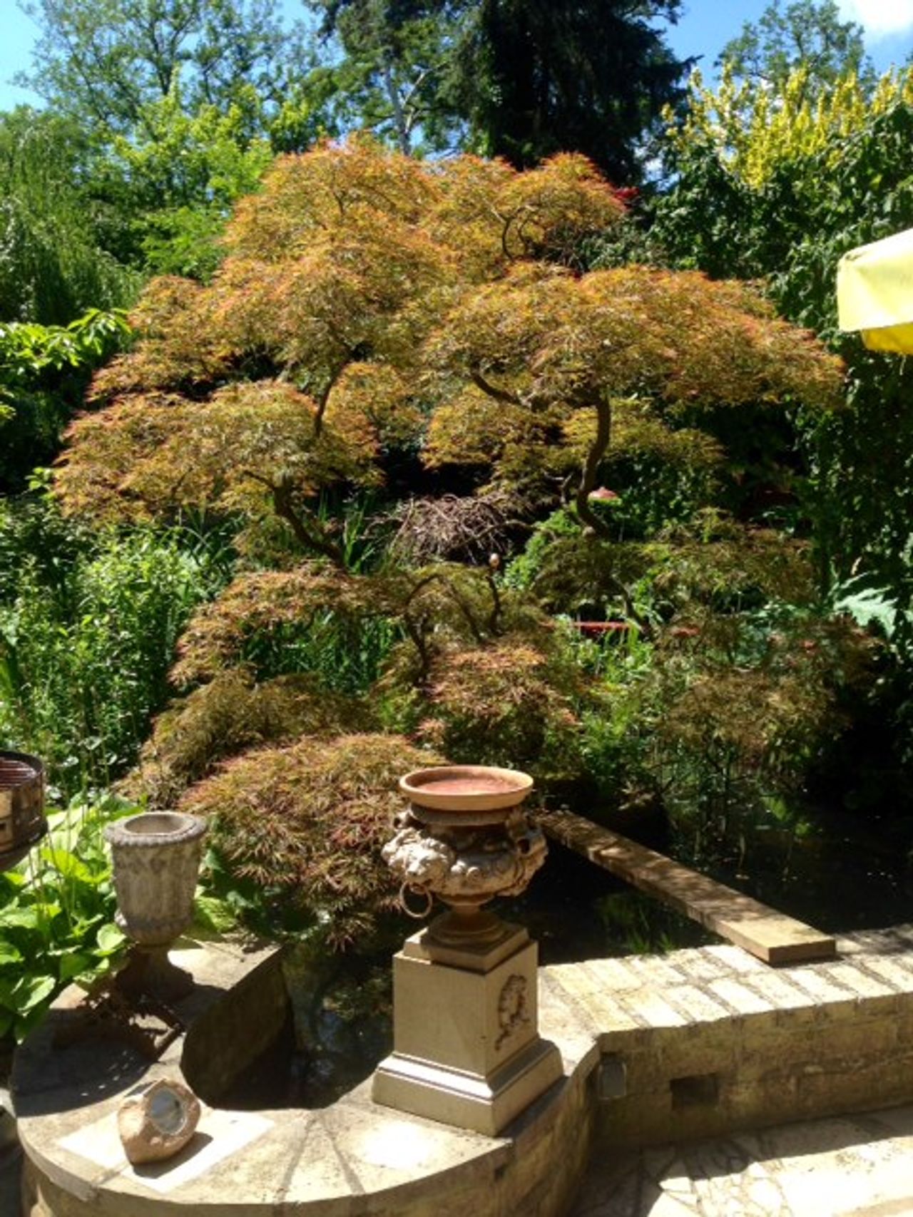 Berlin workshop spaces Privatresidenz Villa Dahlem image 10