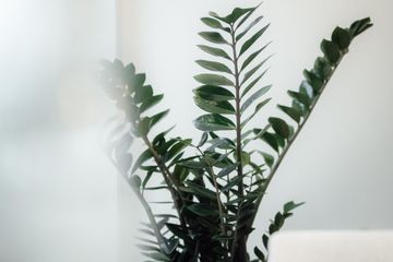 Mannheim Mobile Working Business center Tagesbüro image 4