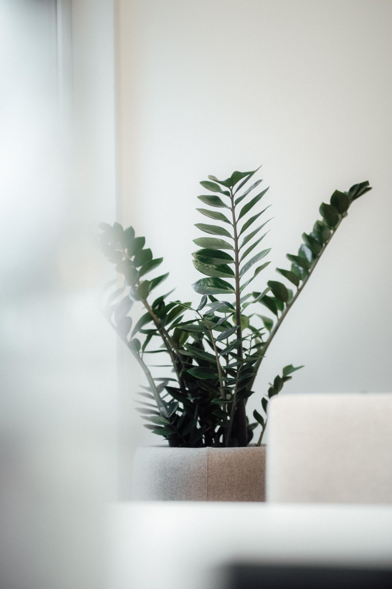 Mannheim Mobile Working Bedrijvencentrum Tagesbüro image 4