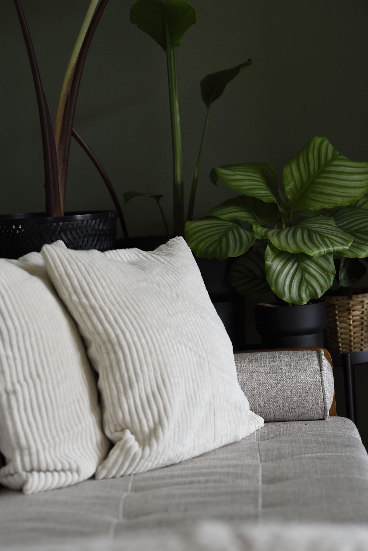 Rest van de wereld Mobiles Arbeiten Bijzondere locatie Outdoor-Wohnzimmer image 23