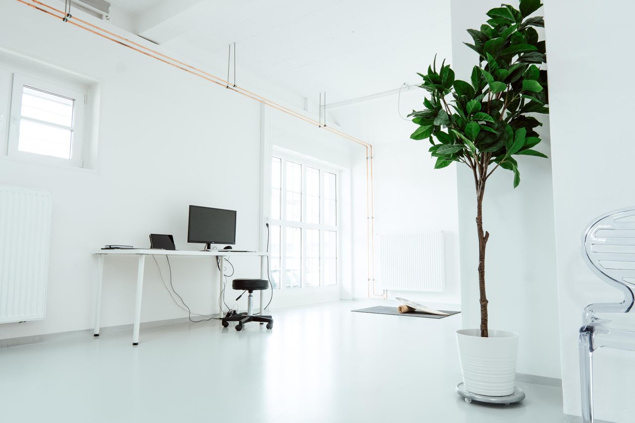 Bielefeld Kreatives Meeting Studio Palm Wave Studio image 3