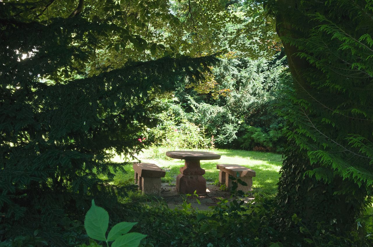 Rest of the World seminar rooms Historic venue Dormitorium image 3