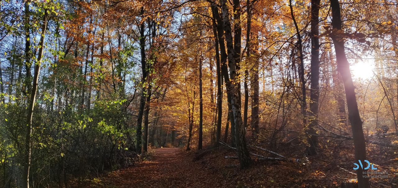 Berlin  Workspace Work image 5