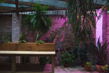 Barcelona corporate event spaces Unusual venue Large botanical space image 2