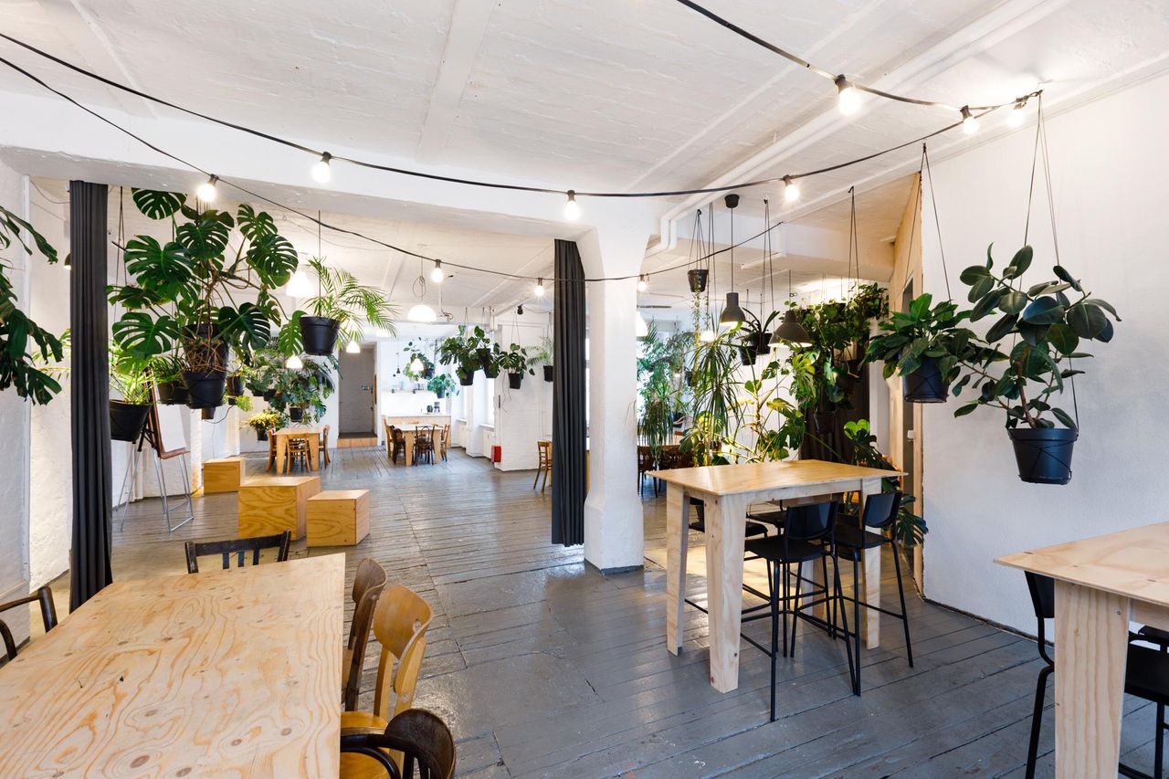 Berlin Kreatives Meeting Meetingräume LIANE 1 image 44