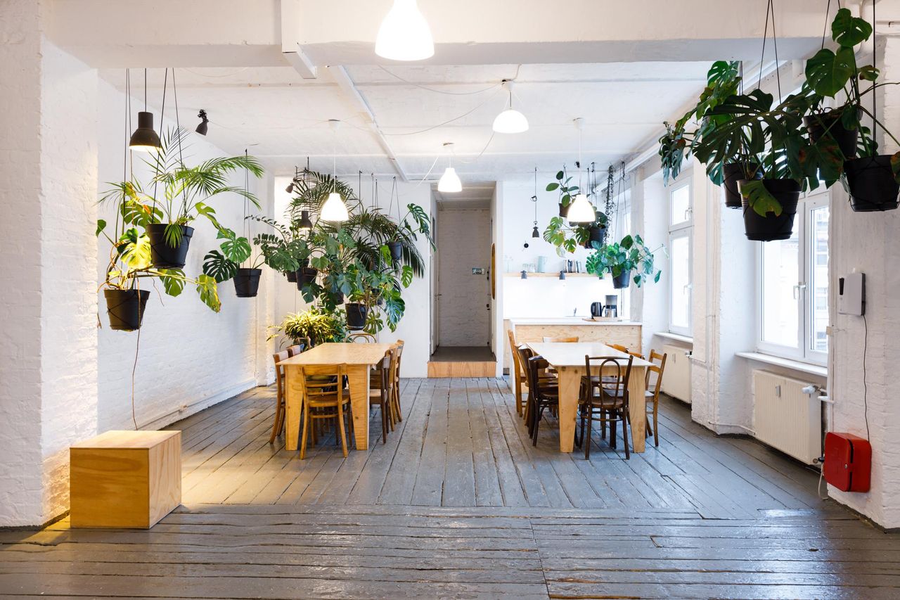 Berlin Kreatives Meeting Meetingräume LIANE 1 image 45