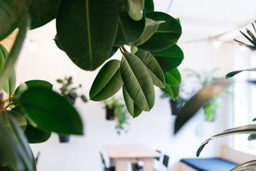 Berlijn Kreatives Meeting Vergaderruimte LIANE 1 image 46