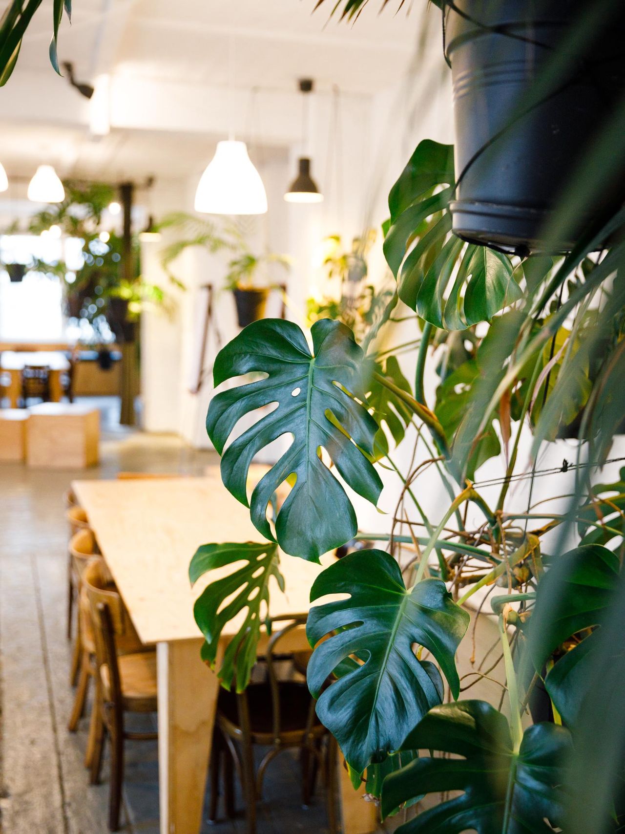 Berlin Kreatives Meeting Meetingräume LIANE 1 image 48