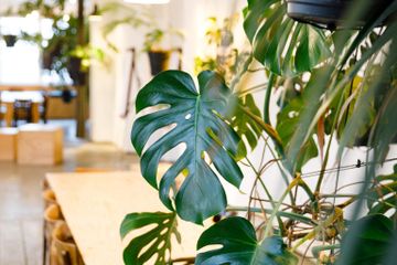 Berlijn Kreatives Meeting Vergaderruimte LIANE 1 image 48