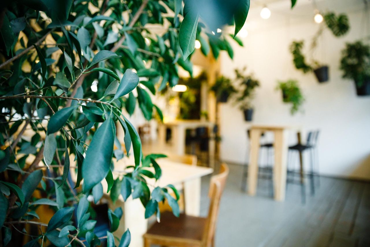 Berlin Kreatives Meeting Meetingräume LIANE 1 image 49