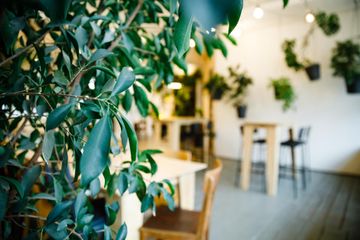 Berlijn Kreatives Meeting Vergaderruimte LIANE 1 image 49