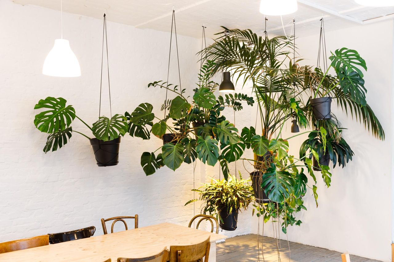 Berlin Kreatives Meeting Meetingräume LIANE 1 image 51