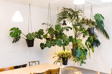 Berlijn Kreatives Meeting Vergaderruimte LIANE 1 image 51