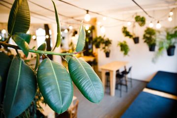 Berlijn Kreatives Meeting Vergaderruimte LIANE 1 image 55