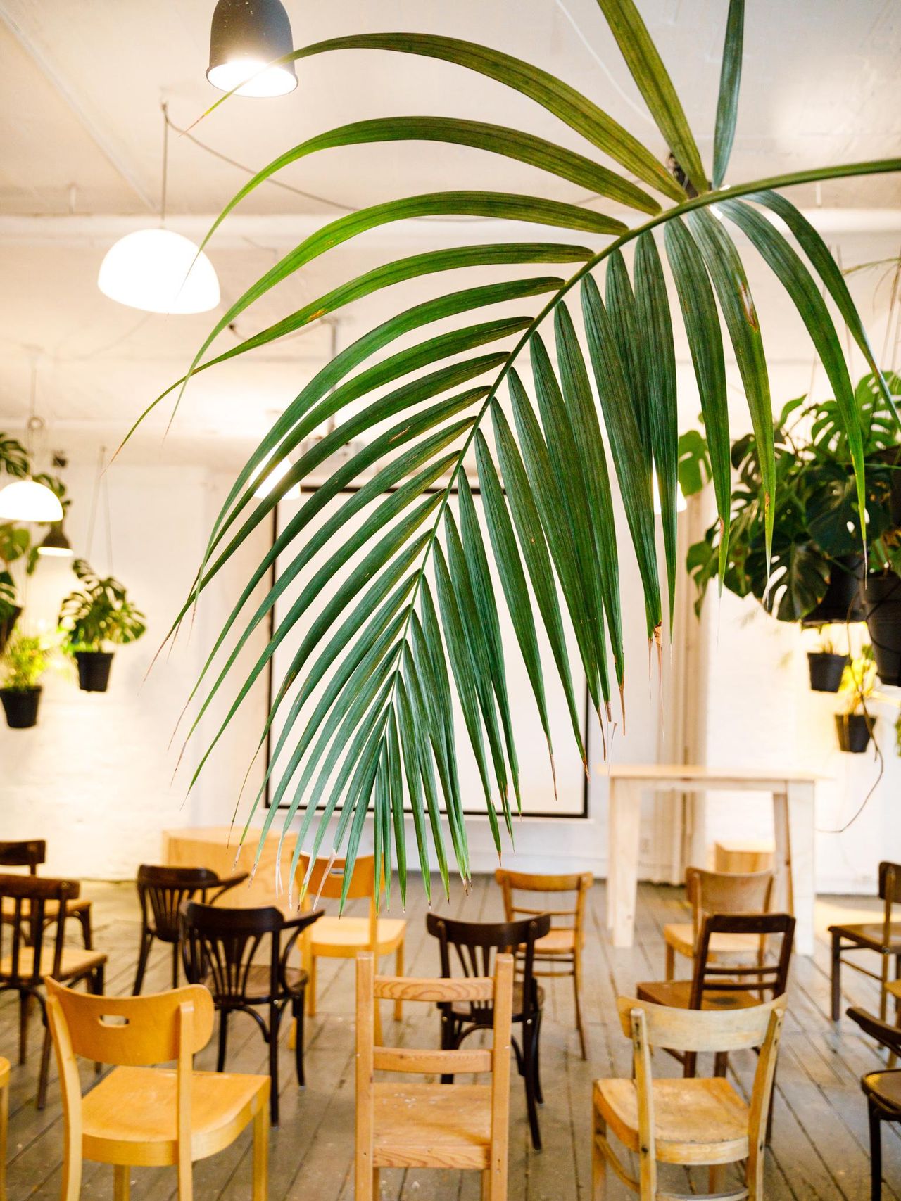 Berlin Kreatives Meeting Meetingräume LIANE 1 image 55