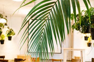 Berlijn Kreatives Meeting Vergaderruimte LIANE 1 image 55