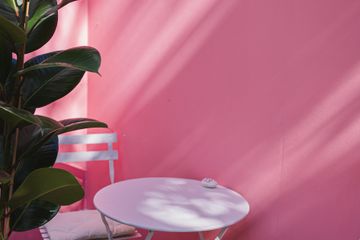 Hamburg Cafe TRUCYS Café image 1