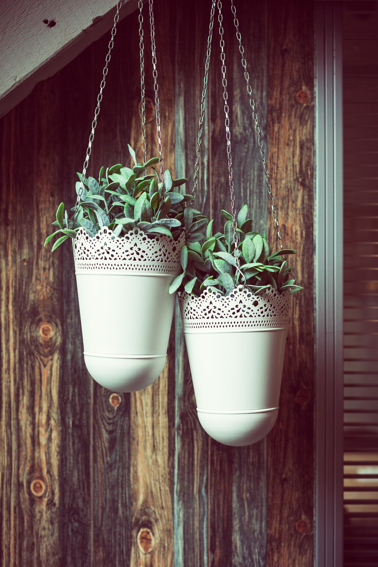 Rest of the World seminar rooms Coworking space House of APE image 30