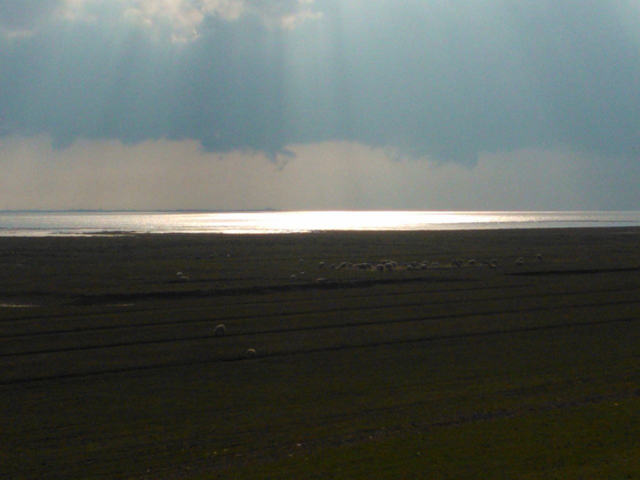 Rest of the World seminar rooms Unusual venue Historical Seminar Room image 31