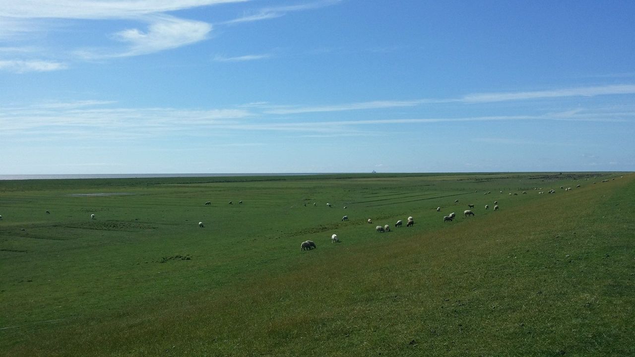 Rest of the World seminar rooms Unusual venue Historical Seminar Room image 32