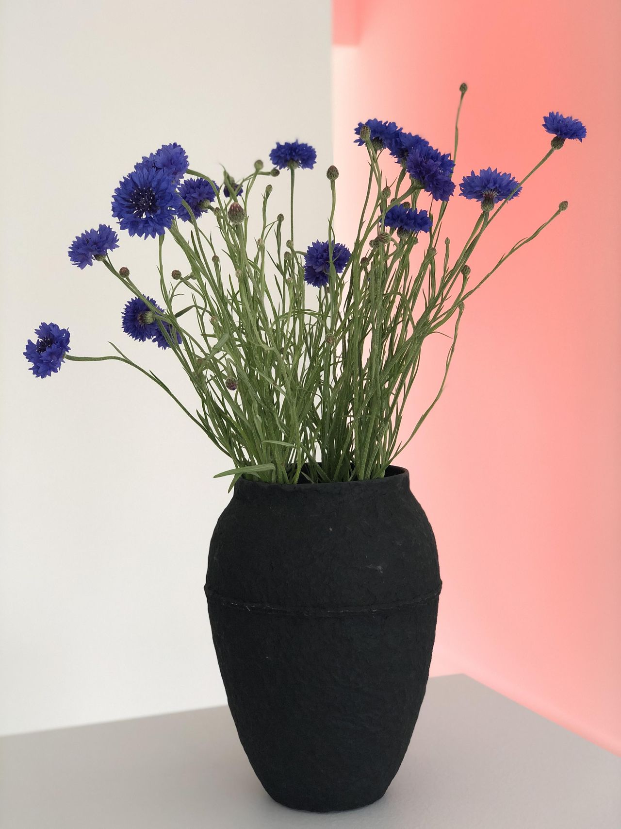 Heidelberg Kreatives Meeting Business center Workshop, Tagung, Meeting, Yoga, Ausstellung, 60qm (2) image 18