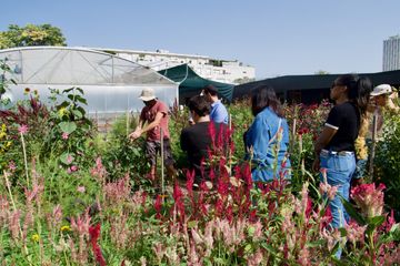 Paris Unusual venue Le Pavillon de l'Ecologie image 4