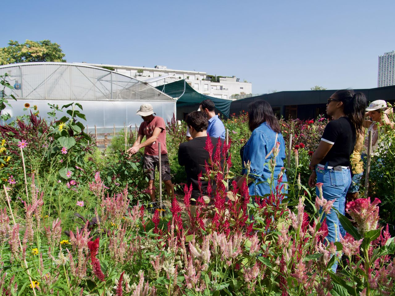Parijs  Bijzondere locatie Le Pavillon de l'Ecologie image 4