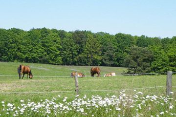 Rest of the World workshop spaces Backyard Hotel, Restaurant und Reitstall image 81