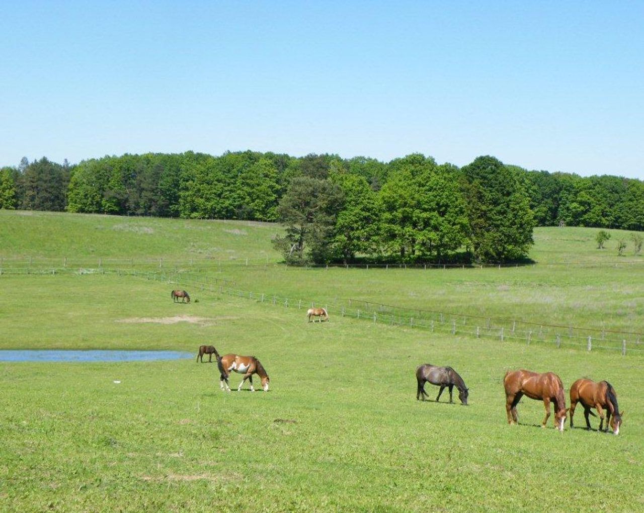 Rest van de wereld workshop spaces Binnenplaats Hotel, Restaurant und Reitstall image 82