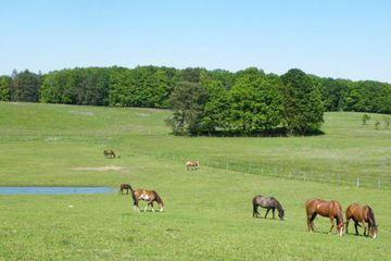 Rest of the World workshop spaces Backyard Hotel, Restaurant und Reitstall image 82
