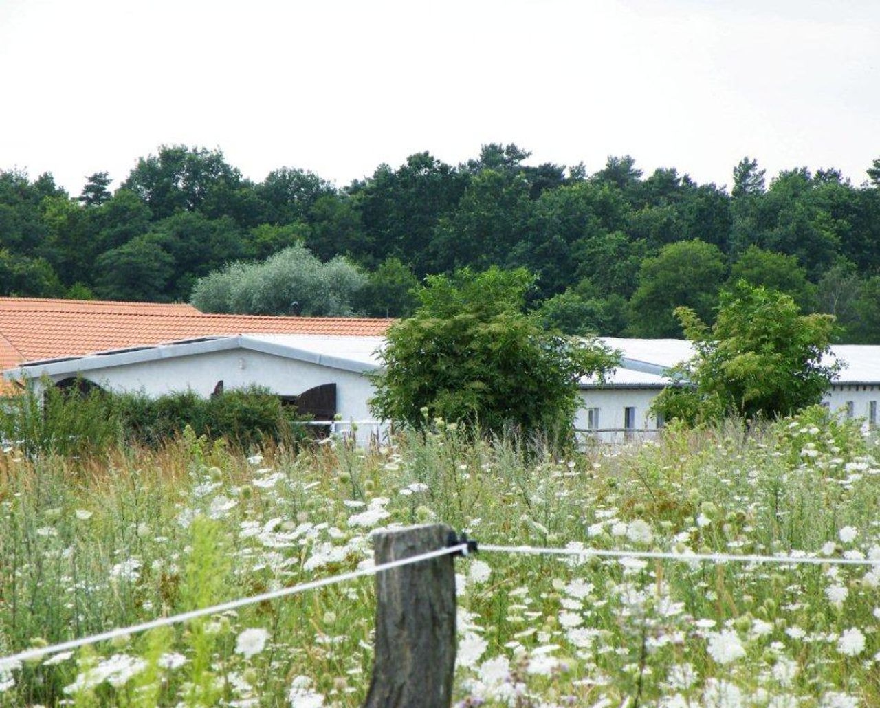 Rest van de wereld workshop spaces Binnenplaats Hotel, Restaurant und Reitstall image 83