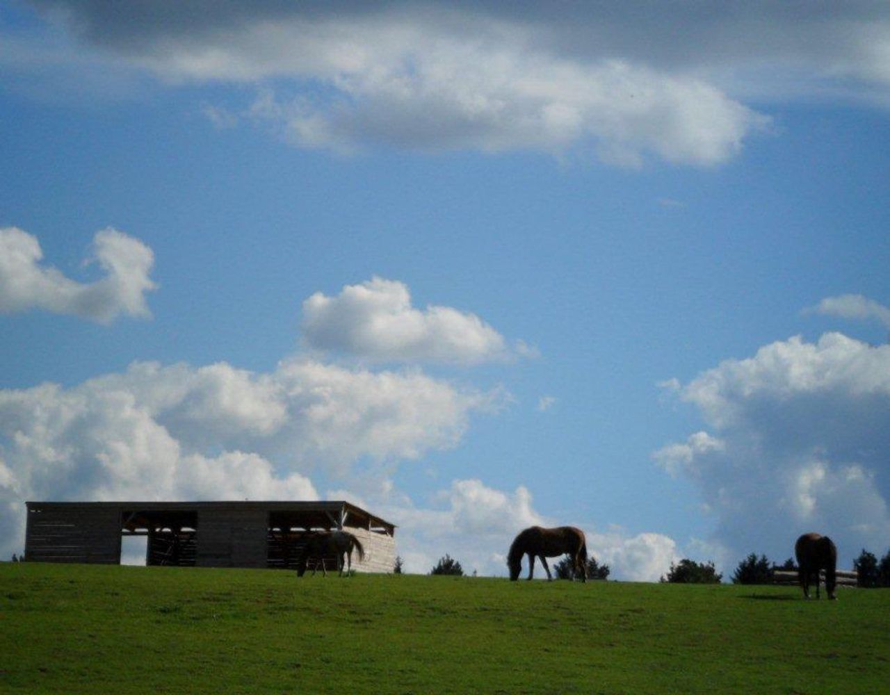 Rest van de wereld workshop spaces Binnenplaats Hotel, Restaurant und Reitstall image 84