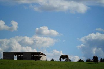 Rest of the World workshop spaces Backyard Hotel, Restaurant und Reitstall image 84