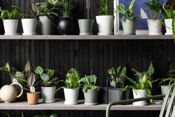 Birmingham  showroom Central Warehouse image 6