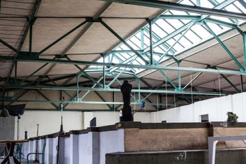 Berlin Werkstatt  Woodboom image 4