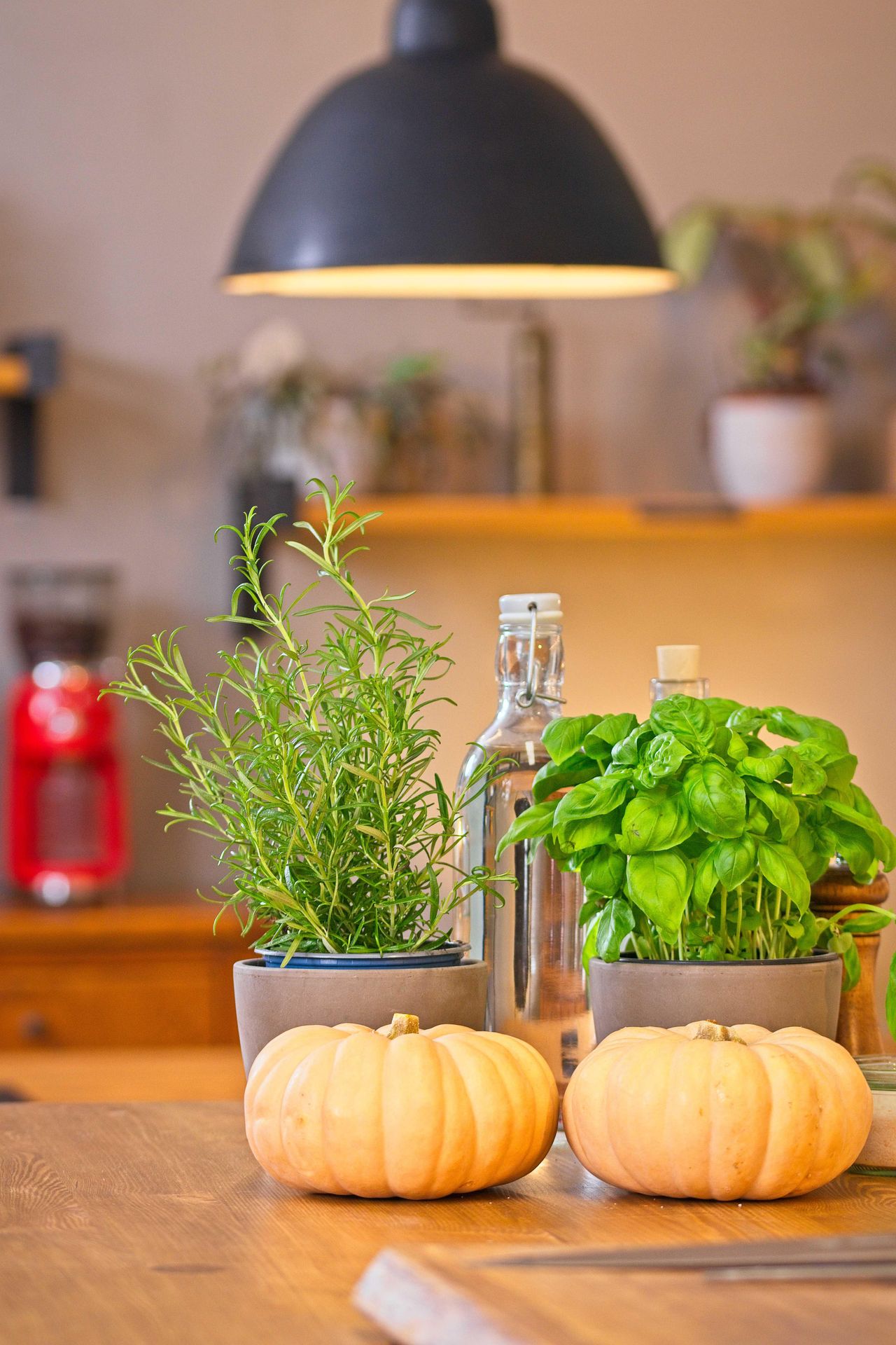 Berlin workshop spaces Kitchen studio Berlin Kitchen Studio image 14