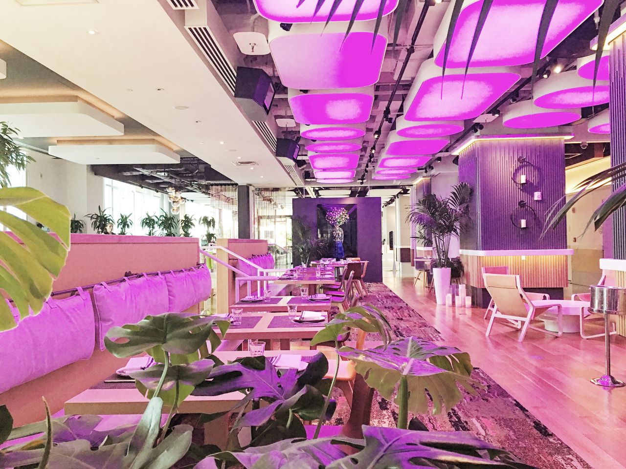Yotel New York Book Venue Online