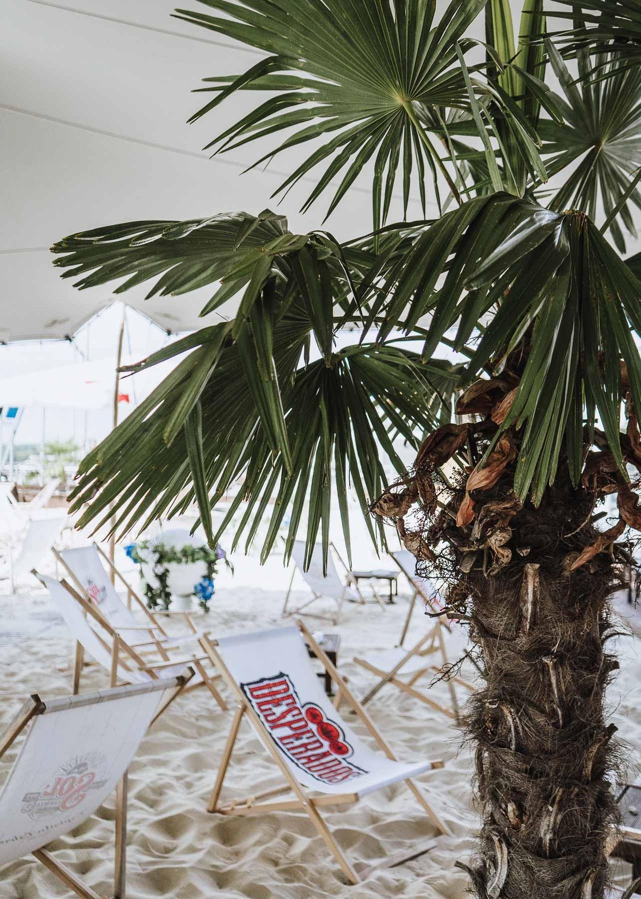 Dormagen Christmas Party Corporate event spaces MonBerg image 13