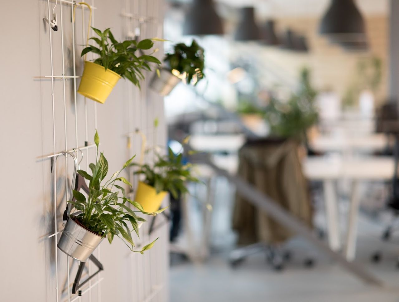 Berlin seminar rooms Coworking Space rent24 Berlin Schöneberg - Coworking Area image 17