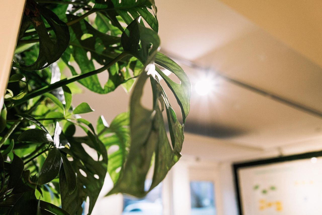 Cologne Kreatives Meeting Meeting room Agiler Kreativ-Raum für Workshops, Teamevents & Meetings image 3