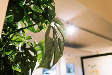 Keulen Kreatives Meeting Vergaderzalen Agiler Kreativ-Raum für Workshops, Teamevents & Meetings image 3