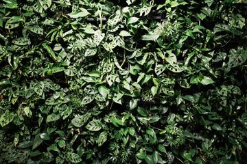 Keulen Kreatives Meeting Vergaderzalen Agiler Kreativ-Raum für Workshops, Teamevents & Meetings image 4