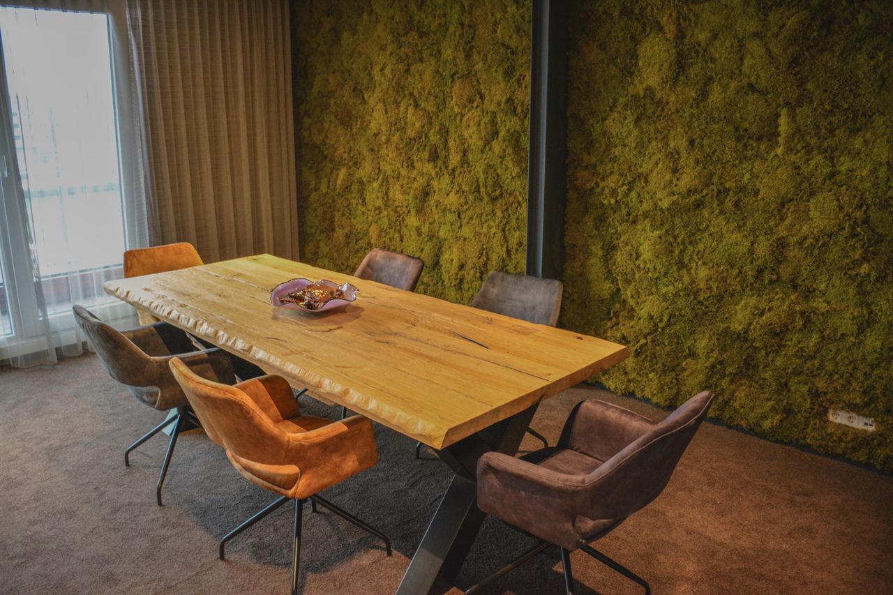 The Hague  Meeting room Skiffa House meeting room image 0