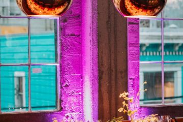 San Francisco Creative Meeting Appartementen The Alternative image 5