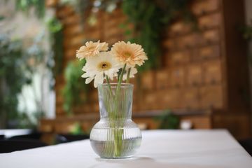 Hamburg  Corporate event spaces NORGERØM / KAMINZIMMER / ORANGERIE image 0