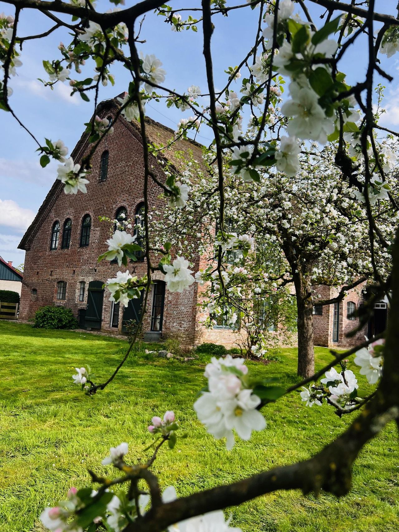 Hamburg  Workshopruimtes Neuro-Atelier im Reetdachhof bei Hamburg image 5