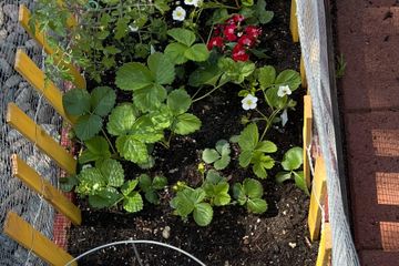 Los Angeles Open Air Location TopangaDreaming Main Venue image 33