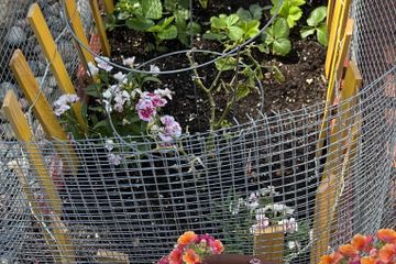 Los Angeles Open Air Location TopangaDreaming Main Venue image 32