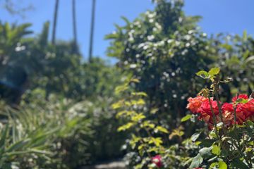 Los Angeles Open Air Location TopangaDreaming Main Venue image 2